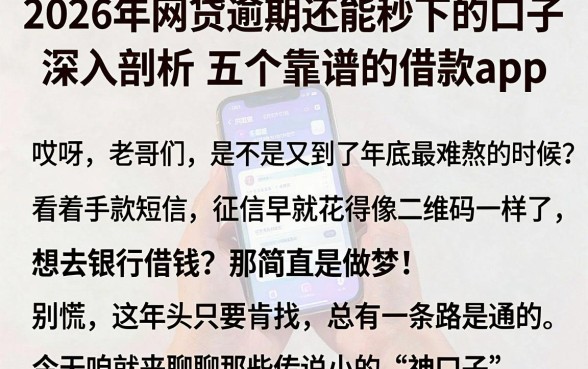2026年网贷逾期还能秒下的口子,深入剖析五个靠谱的借款app