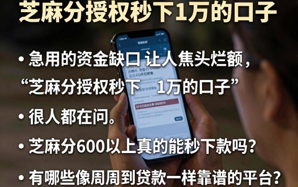芝麻分授权秒下1万的口子，概括五个周周到贷款相同系列的平台