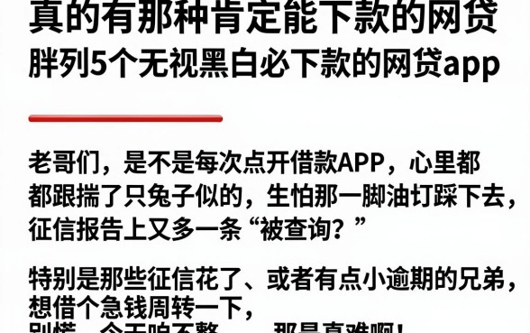 真的有那种肯定能下款的网贷,胪列5个无视黑白必下款的网贷app