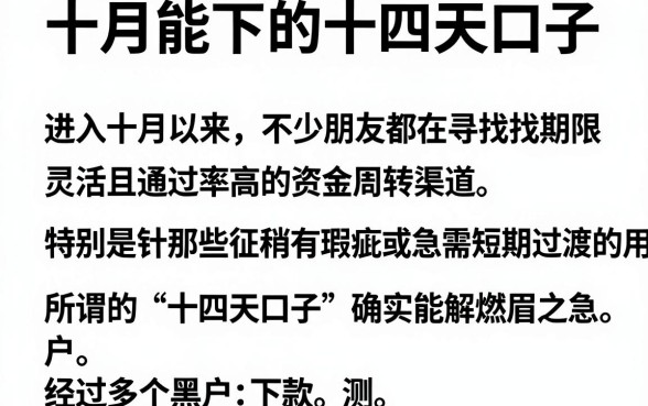 十月能下的十四天口子，精选5个黑户下款app