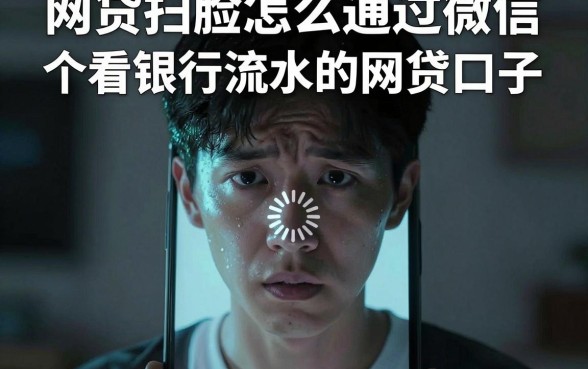 网贷扫脸怎么通过微信，汇总五个看银行流水的网贷口子