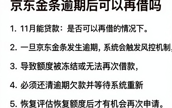 京东金条逾期后可以再借吗,细致阐述五个11月能贷款的软件