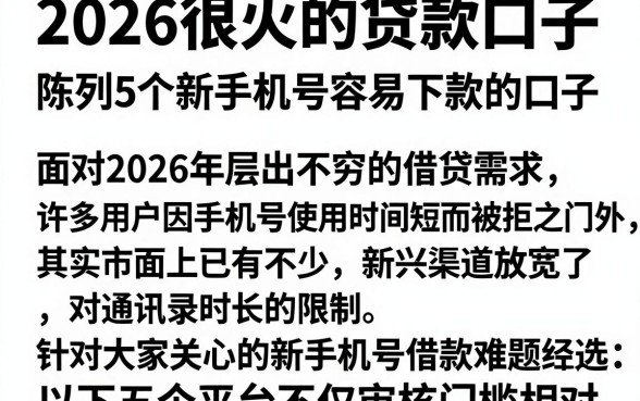 2026很火的贷款口子,陈列5个新手机号容易下款的口子