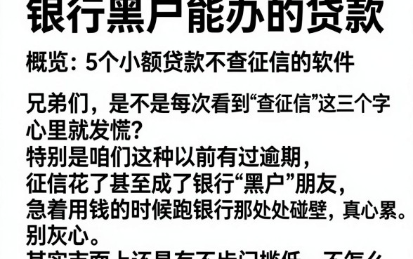 银行黑户能办的贷款,概览5个小额贷款不查征信的软件