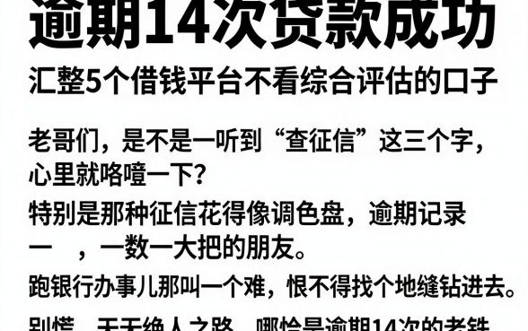 逾期14次贷款成功,汇整5个借钱平台不看综合评估的口子