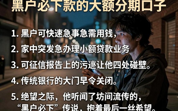 黑户必下款的大额分期口子，条列5个黑户可快速办理小额贷款业务的平台