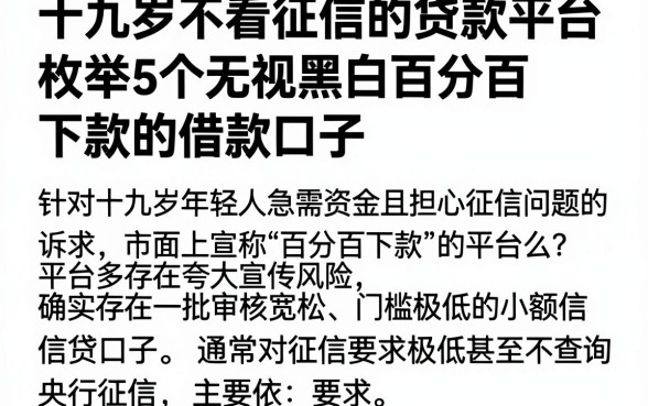 十九岁不看征信的贷款平台，枚举5个无视黑白百分百下款的借款口子