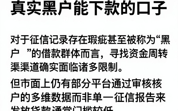 真实黑户能下款的口子,概览5个不看黑白户下款的网贷