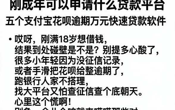 刚成年可以申请什么贷款平台，筛选五个支付宝花呗逾期万元快速贷款软件