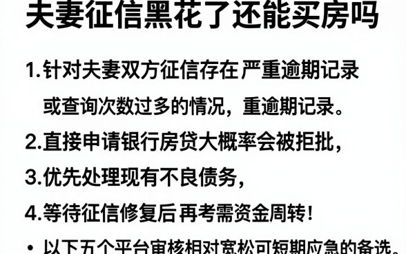 夫妻征信黑花了还能买房吗,整合5个不上征信报告的贷款软件