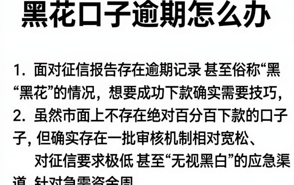 黑花口子逾期怎么办，筛选5个无视黑白的网贷口子