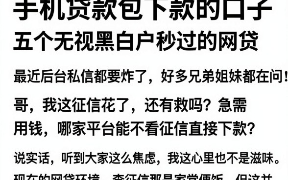 手机贷款包下款的口子,深入剖析五个无视黑白户秒过的网贷