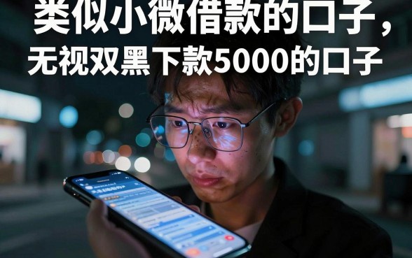 类似小微借款的口子,概括五个无视双黑下款5000的口子
