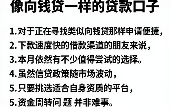 像向钱贷一样的贷款口子，条列五个12月能贷款的平台
