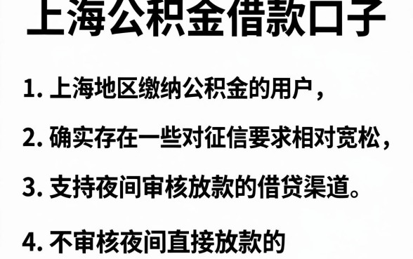 上海公积金借款口子,整合5个不审核夜间直接放款的网贷软件