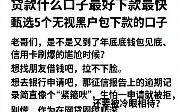 贷款什么口子最好下款最快，甄选5个无视黑户包下款的口子