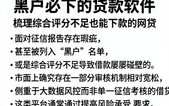黑户必下的贷款软件,梳理五个综合评分不足也能下款的网贷