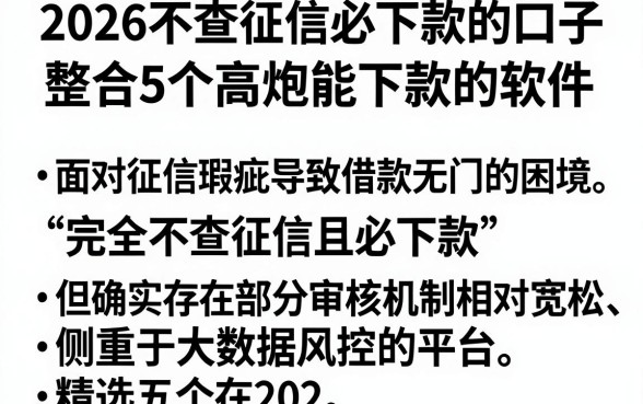 2026不查征信必下款的口子,整合5个高炮能下款的软件