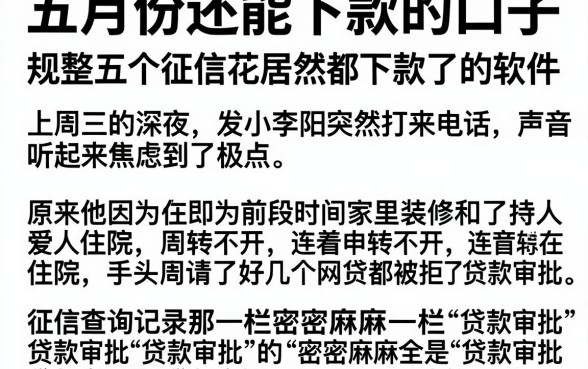 五月份还能下款的口子，规整五个征信花居然都下款了的软件