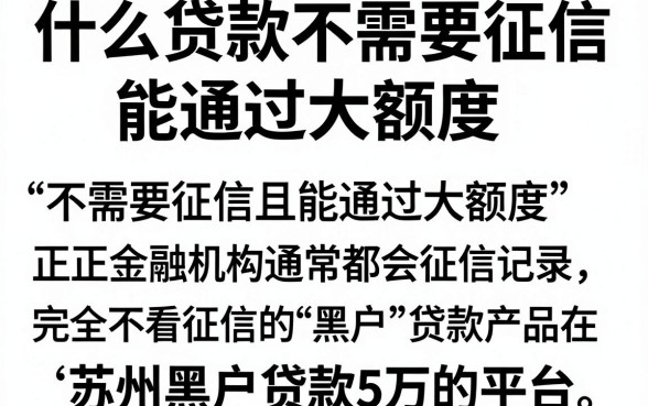 什么贷款不需要征信能通过大额度,深入剖析五个苏州黑户贷款5万的平台