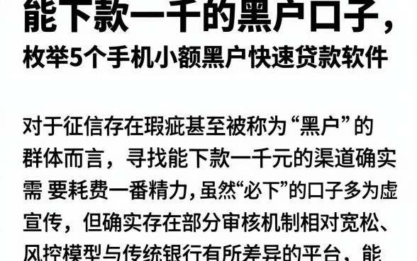 能下款一千的黑户口子,枚举5个手机小额黑户快速贷款软件