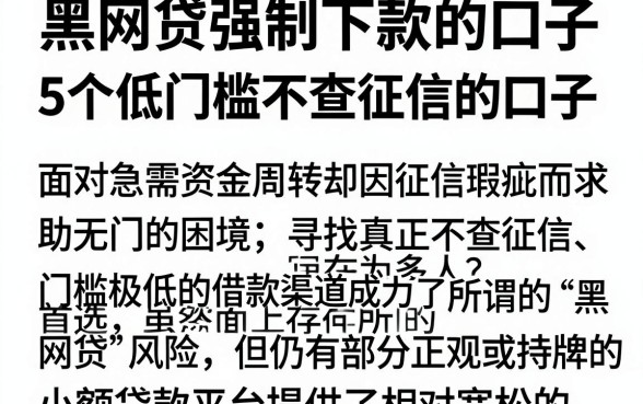 黑网贷强制下款的口子，概括5个低门槛不查征信的口子