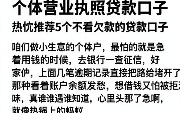 个体营业执照贷款口子,热忱推荐5个不看欠款的贷款口子