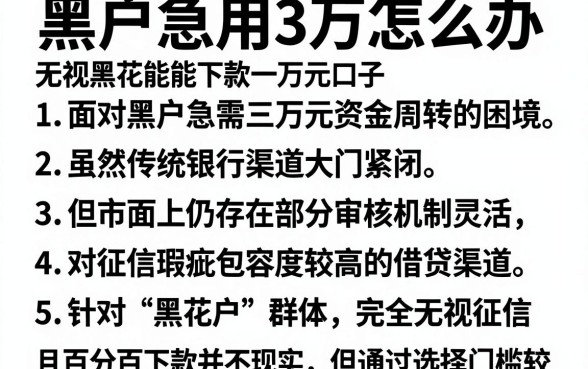 黑户急用3万怎么办,概括五个无视黑花能下款一万元口子