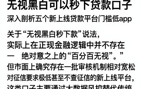 无视黑白可以秒下贷款口子,深入剖析五个新上线贷款平台门槛低app