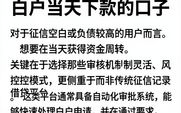 白户当天下款的口子，详尽说明5个无视负债快速下款长期网贷的平台