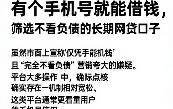 有个手机号就能借钱,筛选五个不看负债的长期网贷口子