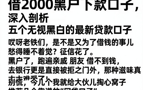 借2000黑户下款口子,深入剖析五个无视黑白的最新贷款口子