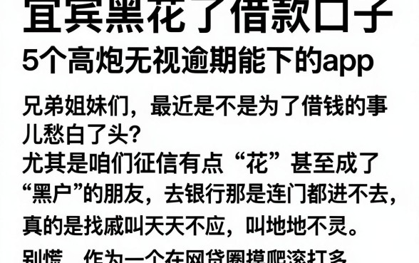 宜宾黑花了借款口子，概括5个高炮无视逾期能下的app