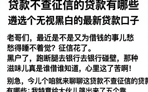 贷款不查征信的贷款有哪些,遴选五个无视黑白的最新贷款口子