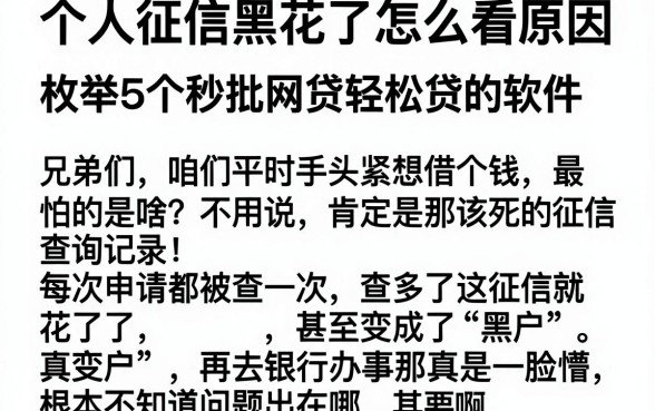 个人征信黑花了怎么看原因,枚举5个秒批网贷轻松贷的软件