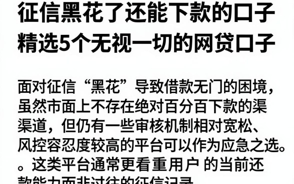 征信黑花了还能下款的口子,精选5个无视一切的网贷口子