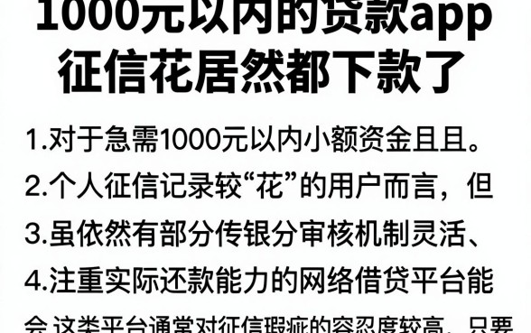 1000元以内的贷款app,理出5个征信花居然都下款了的平台
