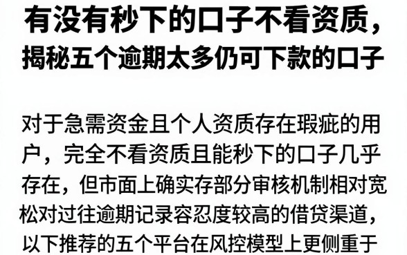 有没有秒下的口子不看资质,揭秘五个逾期太多仍可下款的口子