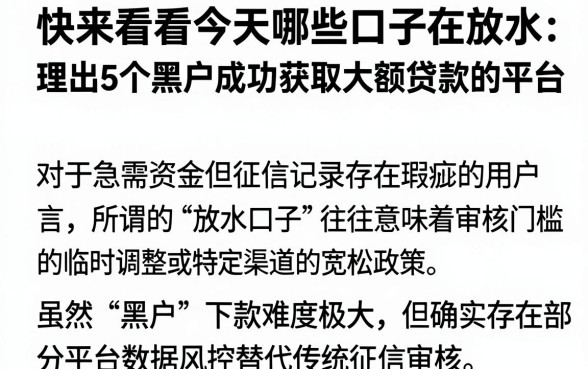 快来看看今天哪些口子在放水，理出5个黑户成功获取大额贷款的平台