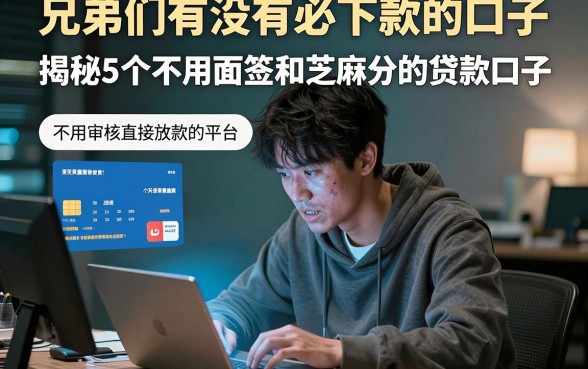 兄弟们有没有必下款的口子，揭秘5个不用面签和芝麻分的贷款口子