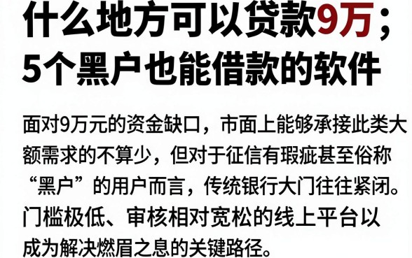 什么地方可以贷款9万,深入剖析5个黑户也能借款的软件