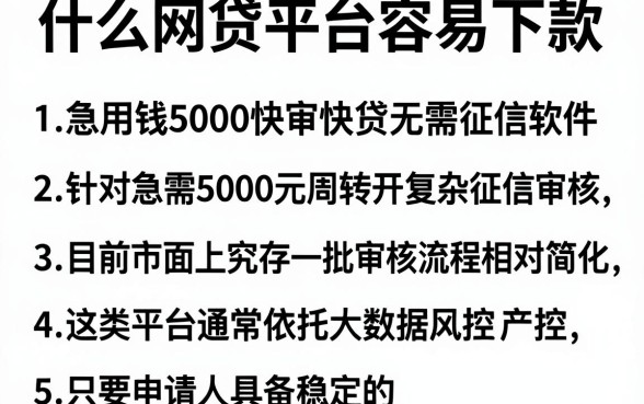 什么网贷平台容易下款,理出五个急用钱5000快审快贷无需征信软件