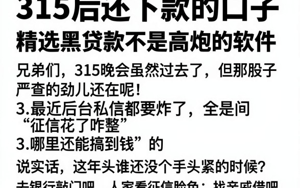 315后还下款的口子,精选5个黑白贷款不是高炮的软件