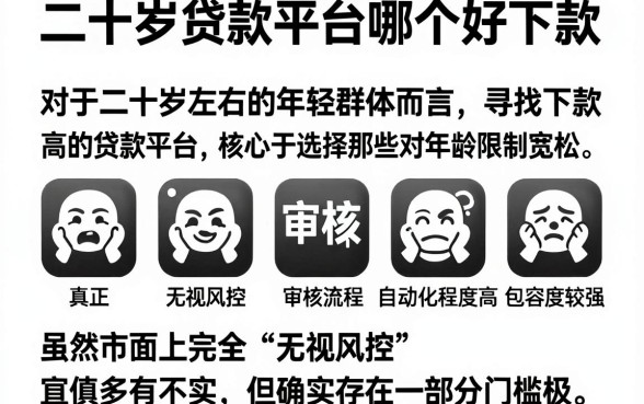 二十岁贷款平台哪个好下款,陈列5个真正无视风控黑白的网贷app