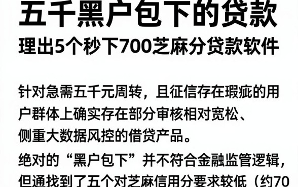 五千黑户包下的贷款,理出5个秒下700芝麻分贷款软件