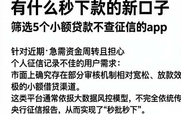 有什么秒下款的新口子,筛选5个小额贷款不查征信的app