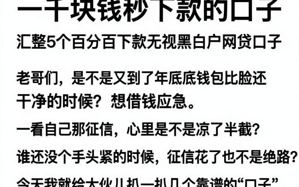 一千块钱秒下款的口子,汇整5个百分百下款无视黑白户网贷口子