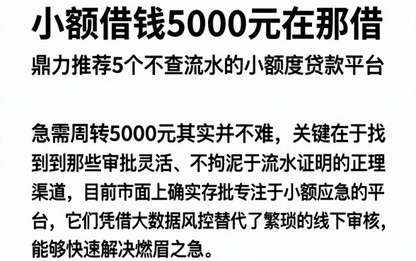 小额借钱5000元在那借,鼎力推荐5个不查流水的小额度贷款平台