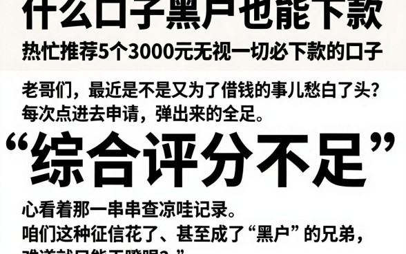 什么口子黑户也能下款,热忱推荐5个3000元无视一切必下款的口子