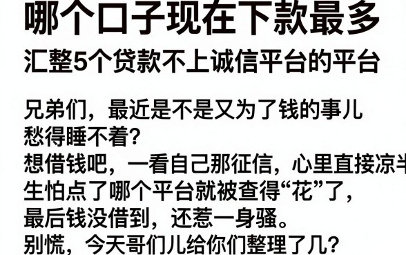 哪个口子现在下款最多,汇整5个贷款不上诚信平台的平台